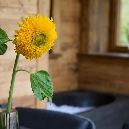 Ziegelberg Chalet Füssen