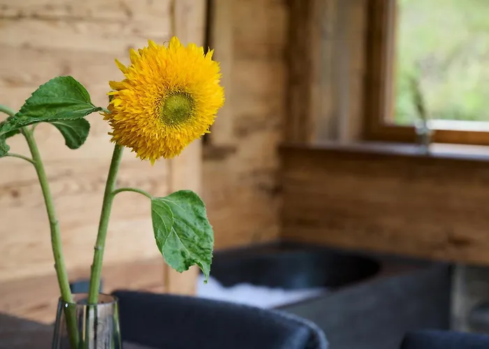 Ziegelberg Chalet Fussen